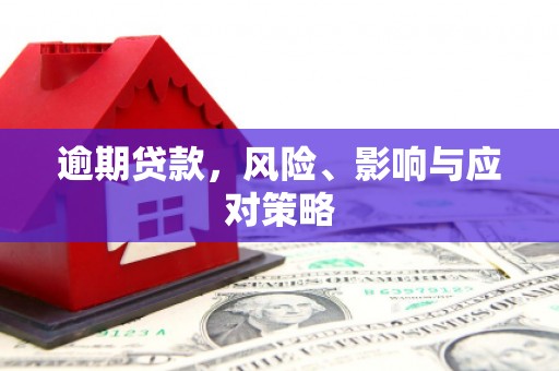 志丹逾期贷款，风险、影响与应对策略