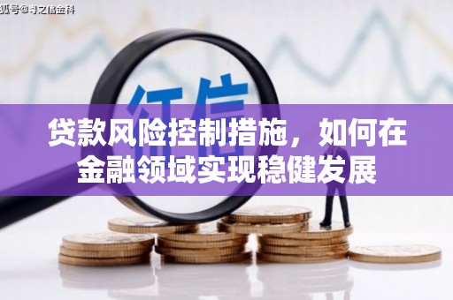 志丹贷款风险控制措施，如何在金融领域实现稳健发展
