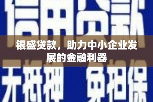 志丹银盛贷款，助力中小企业发展的金融利器