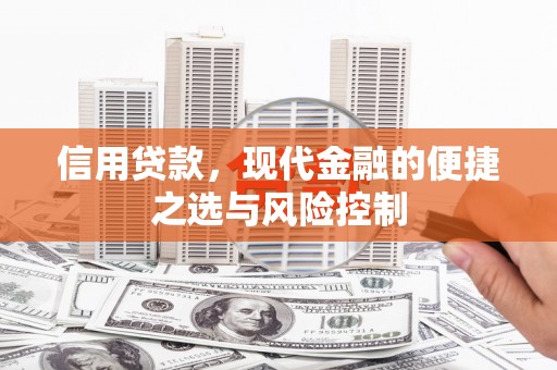 志丹信用贷款，现代金融的便捷之选与风险控制