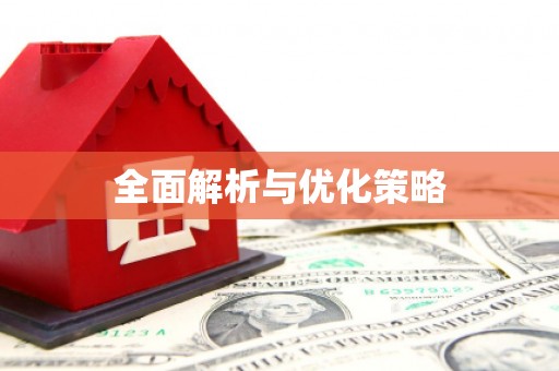 志丹全面解析与优化策略