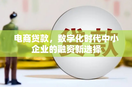 志丹电商贷款，数字化时代中小企业的融资新选择