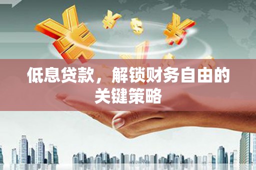 志丹低息贷款，解锁财务自由的关键策略