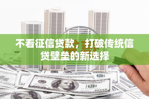 志丹不看征信贷款，打破传统信贷壁垒的新选择