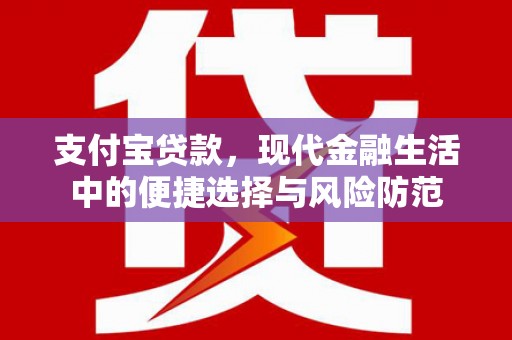 志丹支付宝贷款，现代金融生活中的便捷选择与风险防范