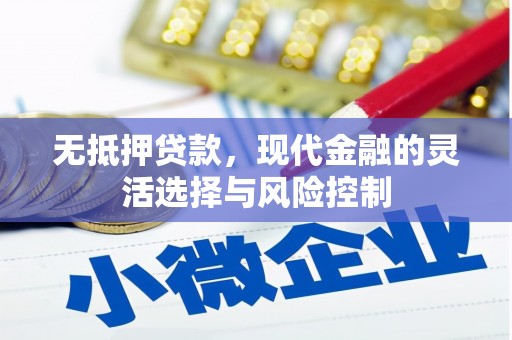 志丹无抵押贷款，现代金融的灵活选择与风险控制