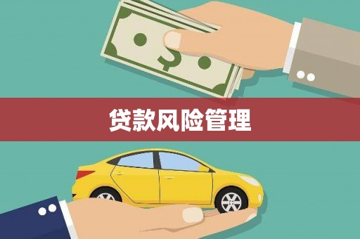 志丹贷款风险管理