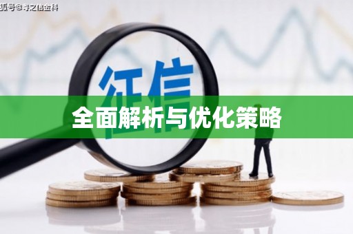 志丹全面解析与优化策略