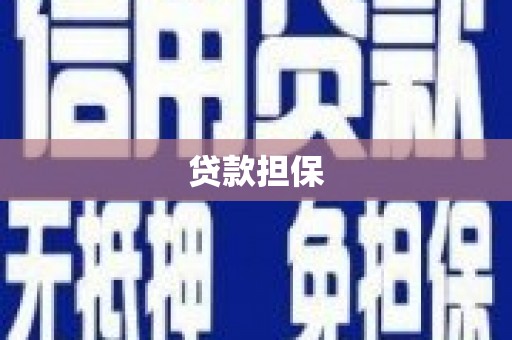 志丹贷款担保