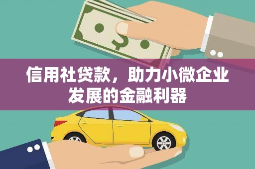 志丹信用社贷款，助力小微企业发展的金融利器