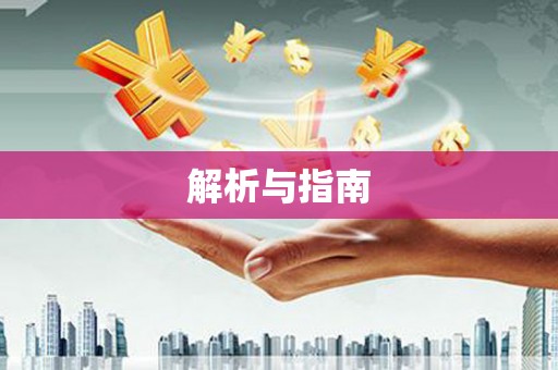 志丹解析与指南