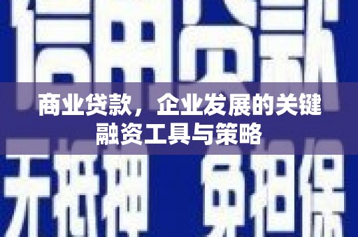 志丹商业贷款，企业发展的关键融资工具与策略