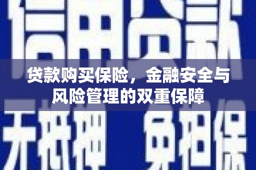 志丹贷款购买保险，金融安全与风险管理的双重保障
