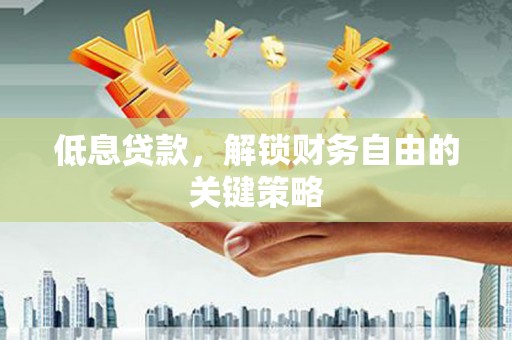 志丹低息贷款，解锁财务自由的关键策略