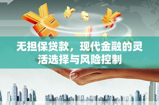 志丹无担保贷款，现代金融的灵活选择与风险控制