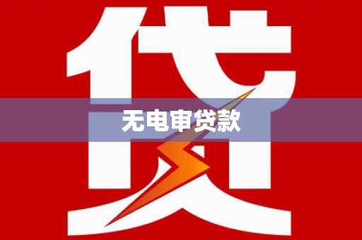 志丹无电审贷款