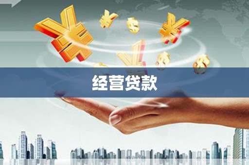 志丹经营贷款