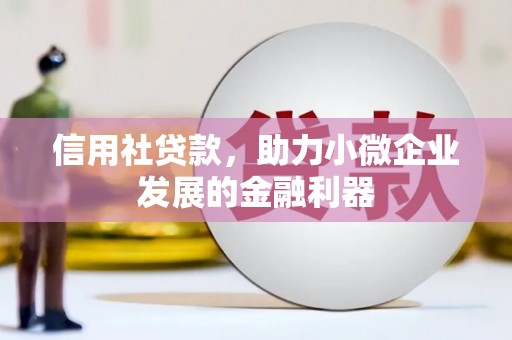 志丹信用社贷款，助力小微企业发展的金融利器