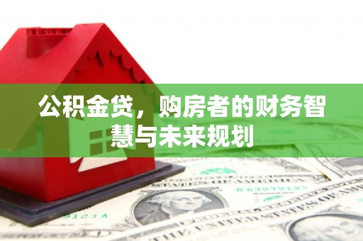 志丹公积金贷，购房者的财务智慧与未来规划