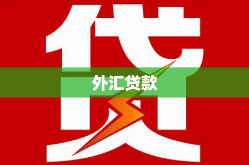 志丹外汇贷款