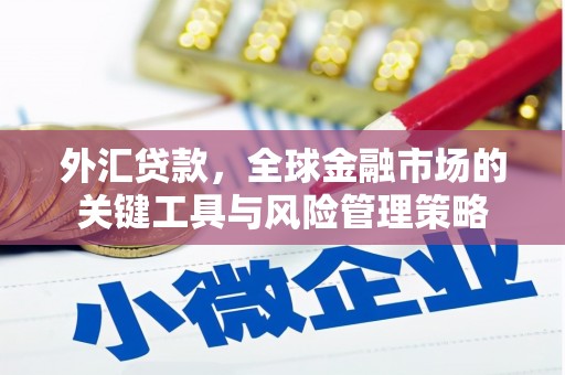 志丹外汇贷款，全球金融市场的关键工具与风险管理策略