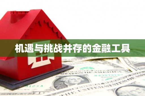 志丹机遇与挑战并存的金融工具