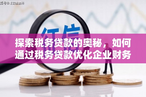 志丹探索税务贷款的奥秘，如何通过税务贷款优化企业财务