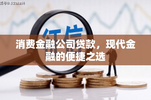 志丹消费金融公司贷款，现代金融的便捷之选