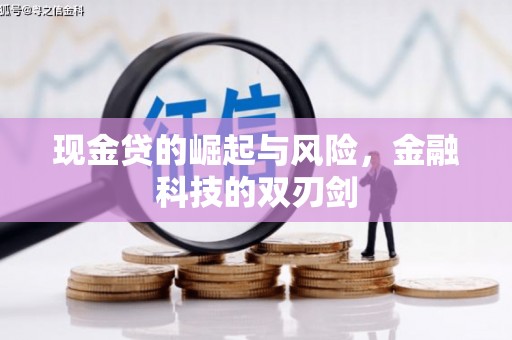 志丹现金贷的崛起与风险，金融科技的双刃剑