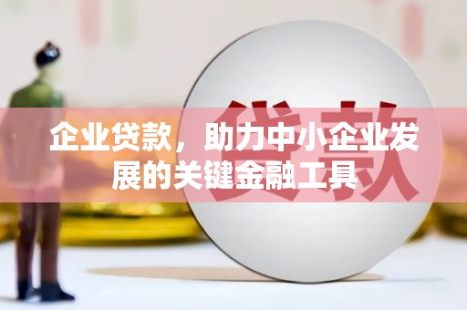 志丹企业贷款，助力中小企业发展的关键金融工具