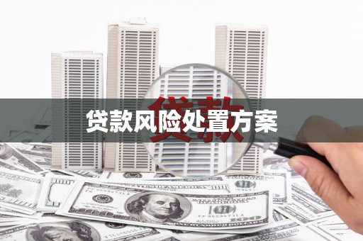 志丹贷款风险处置方案