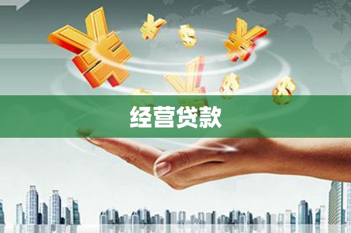 志丹经营贷款