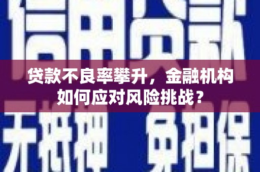 志丹贷款不良率攀升，金融机构如何应对风险挑战？