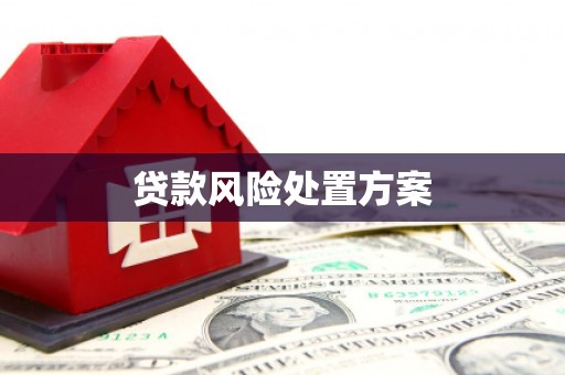 志丹贷款风险处置方案