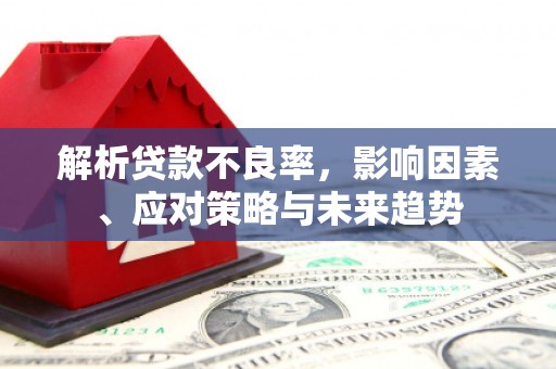 志丹解析贷款不良率，影响因素、应对策略与未来趋势