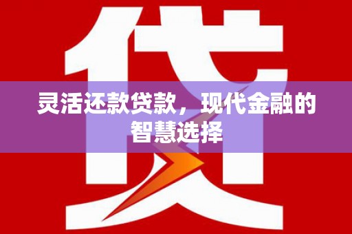 志丹灵活还款贷款，现代金融的智慧选择