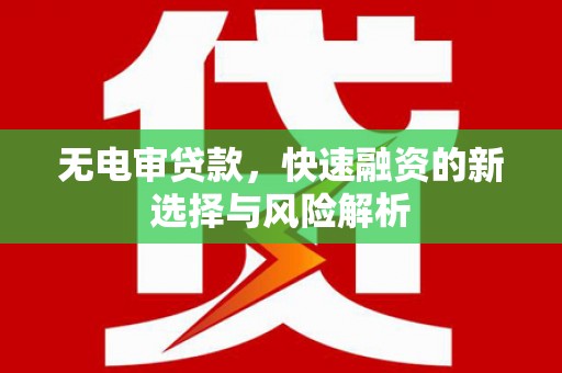 志丹无电审贷款，快速融资的新选择与风险解析