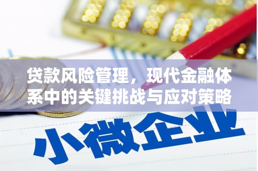 志丹贷款风险管理，现代金融体系中的关键挑战与应对策略