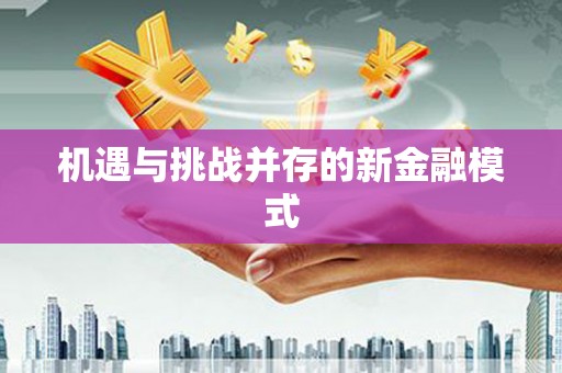 志丹机遇与挑战并存的新金融模式