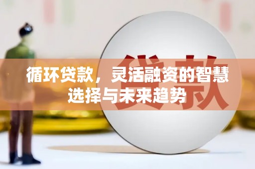 志丹循环贷款，灵活融资的智慧选择与未来趋势