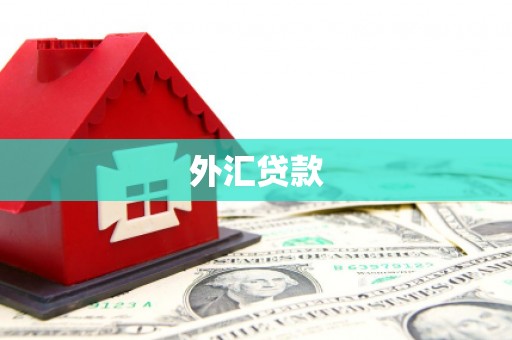 志丹外汇贷款