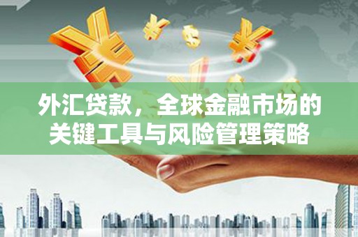 志丹外汇贷款，全球金融市场的关键工具与风险管理策略