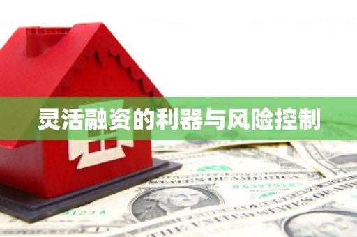 志丹灵活融资的利器与风险控制