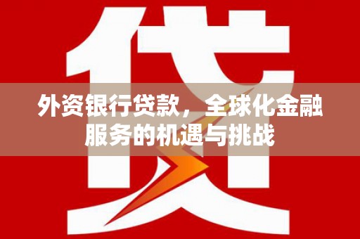 志丹外资银行贷款，全球化金融服务的机遇与挑战