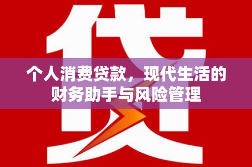 志丹个人消费贷款，现代生活的财务助手与风险管理