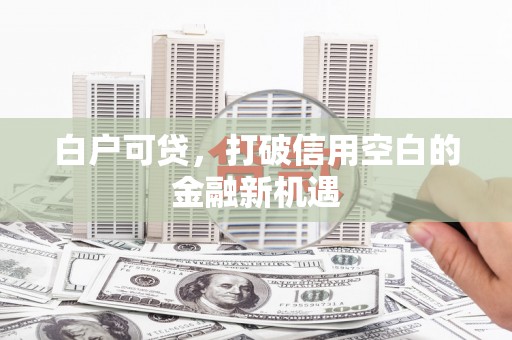 志丹白户可贷，打破信用空白的金融新机遇