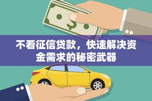 志丹不看征信贷款，快速解决资金需求的秘密武器