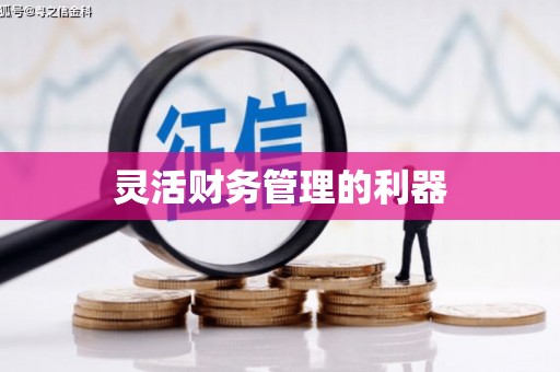 志丹灵活财务管理的利器