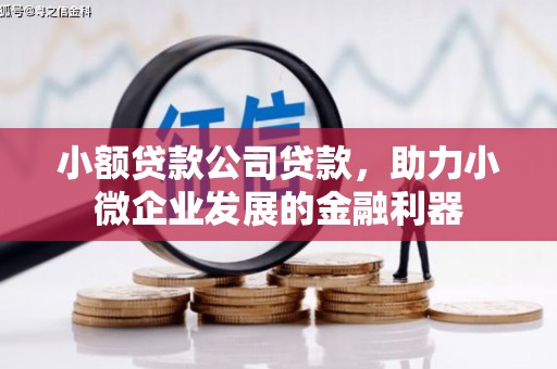 志丹小额贷款公司贷款，助力小微企业发展的金融利器