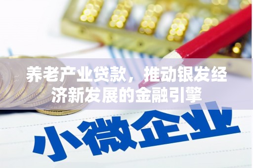 志丹养老产业贷款，推动银发经济新发展的金融引擎